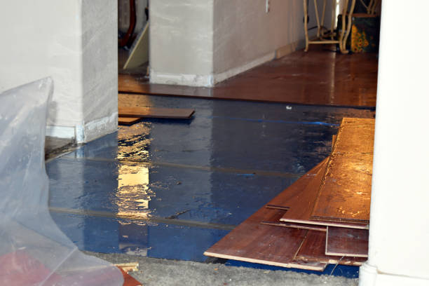 Professional Water Damage Repair technician working in Aurora, ME